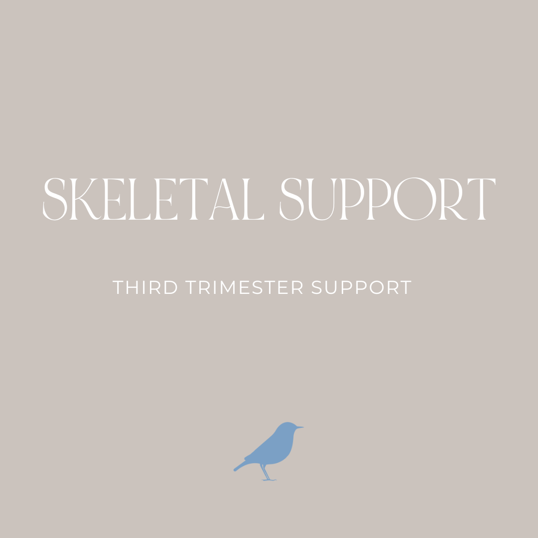 Skeletal Support Third Trimester Support