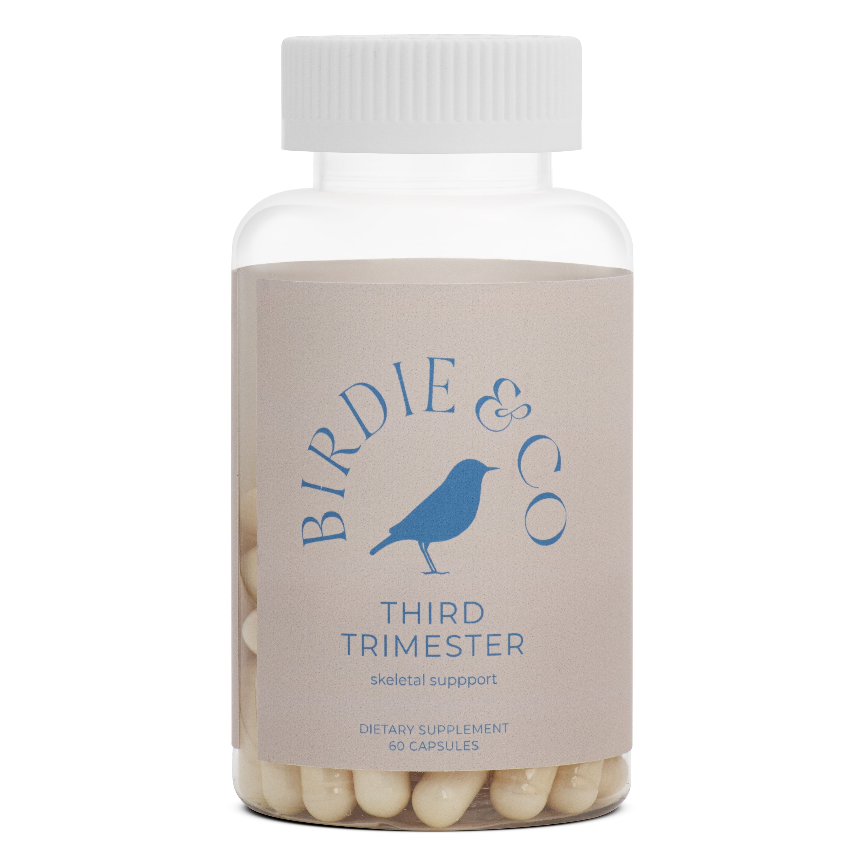 Skeletal Support Third Trimester Support