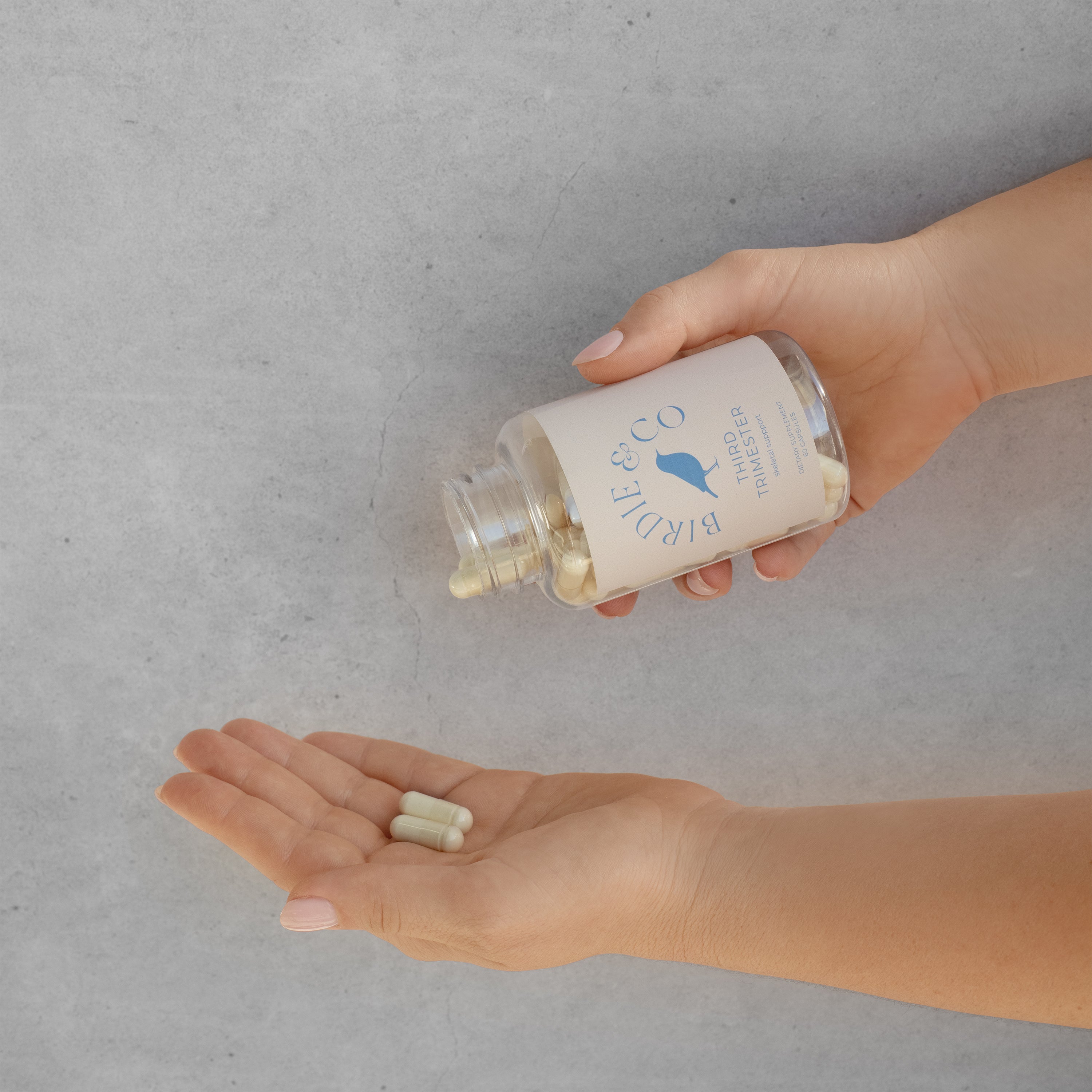 Skeletal Support Third Trimester Support