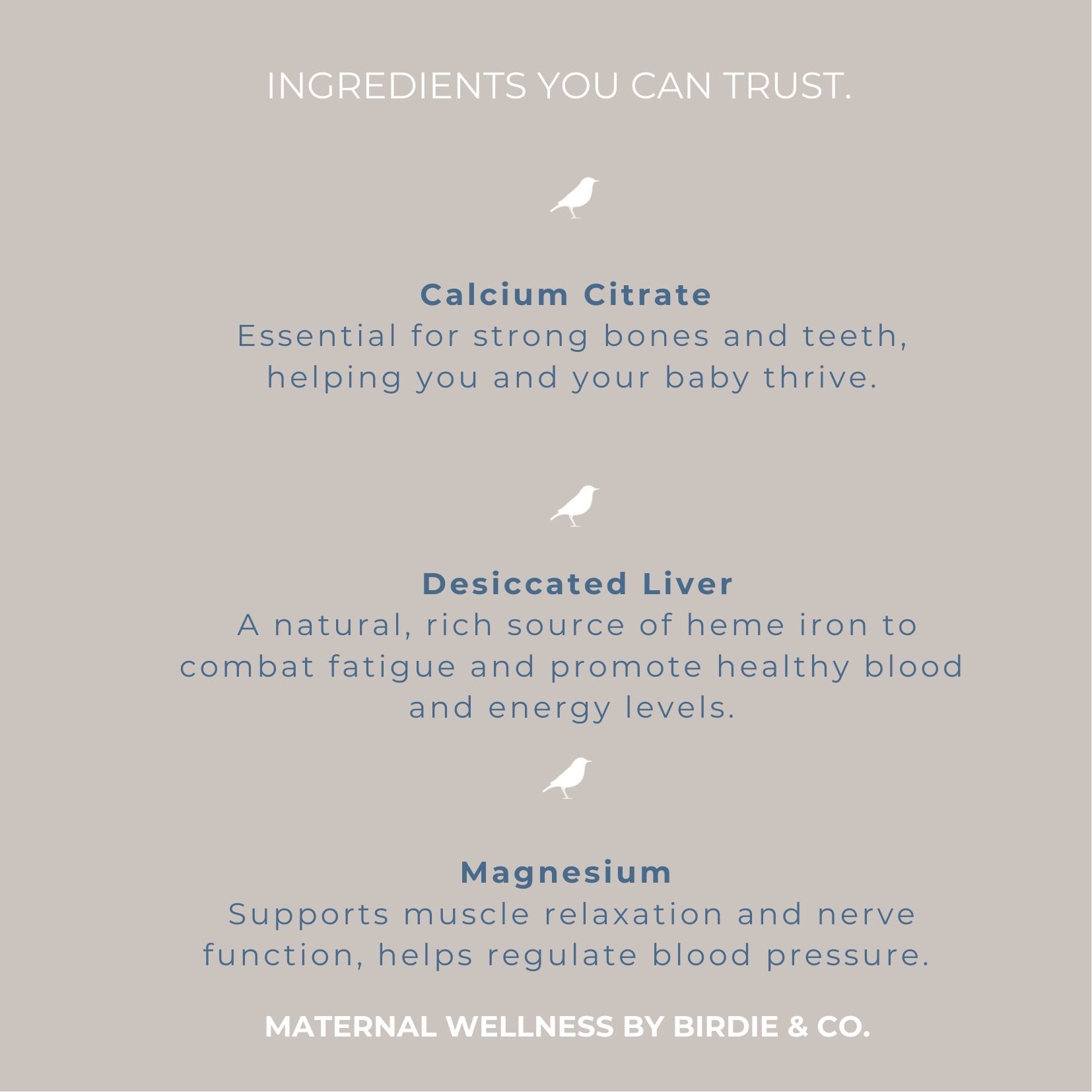 Skeletal Support Third Trimester Support